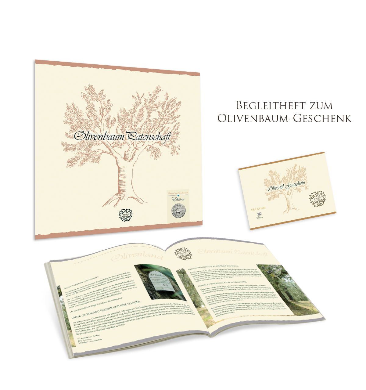 Olivenbaum Patenschaft Griechenland