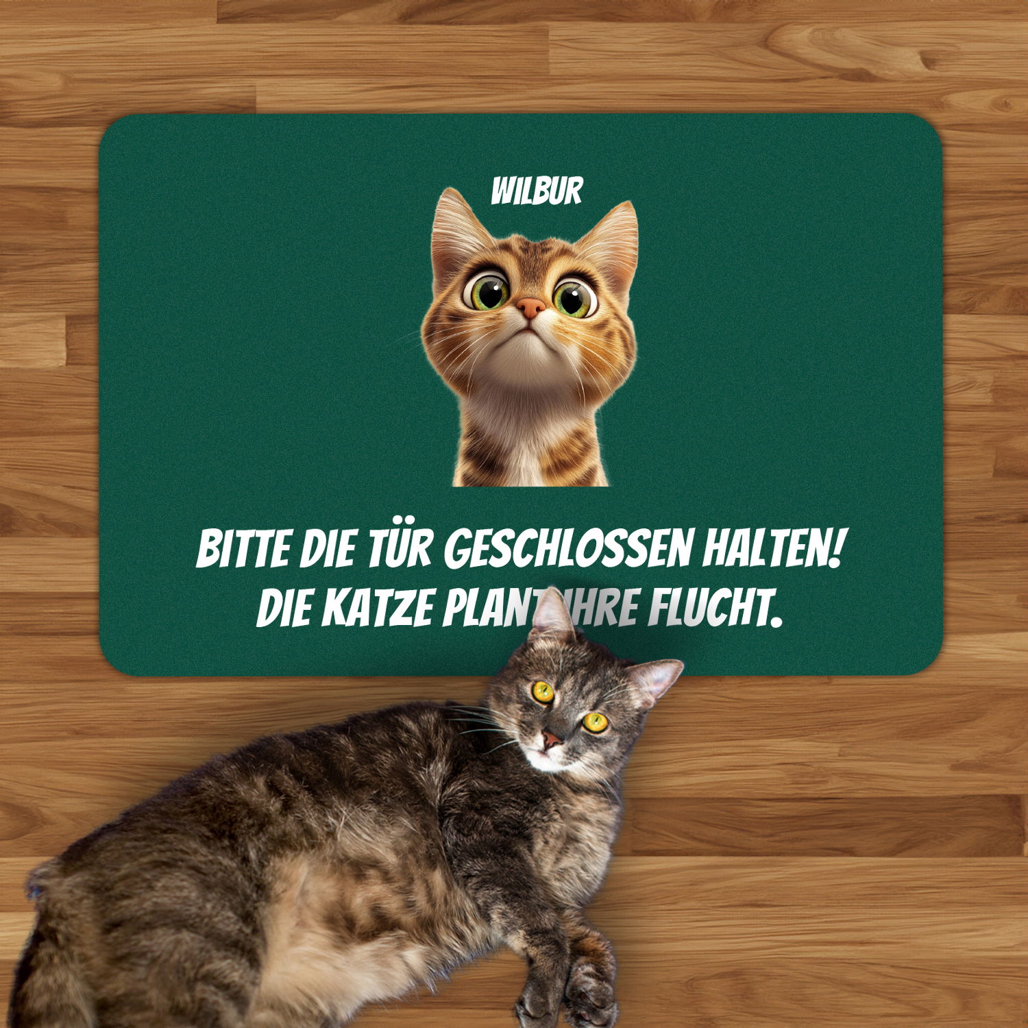 Fußmatte - Katzen planen Flucht