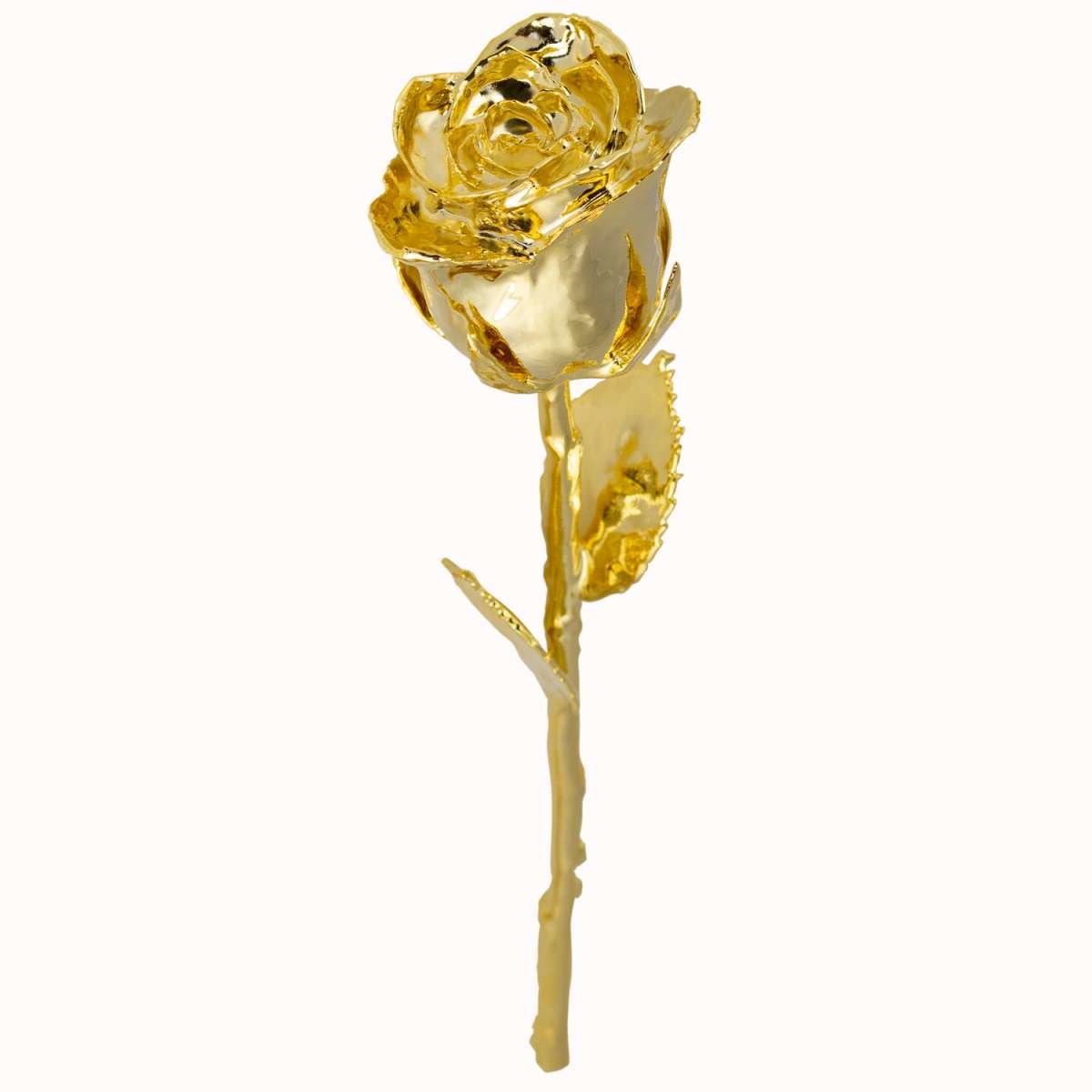 Die goldene Rose