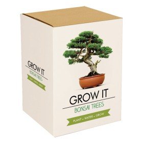 Grow it - Bonsai Bäume Pflanzset